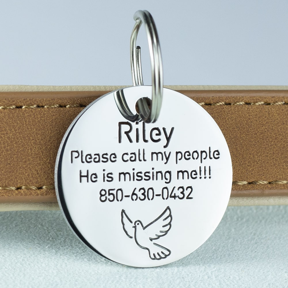 custom hollow laser-cut stainless steel round dog ID tag with pigeon icon with cut-through name lettering