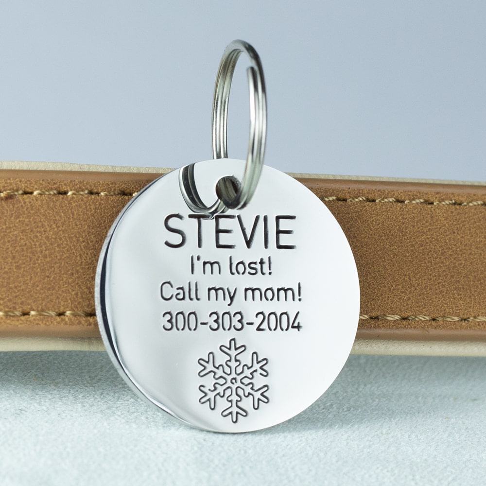 custom hollow laser-cut stainless steel round dog ID tag with snowflake icon with cut-through name lettering