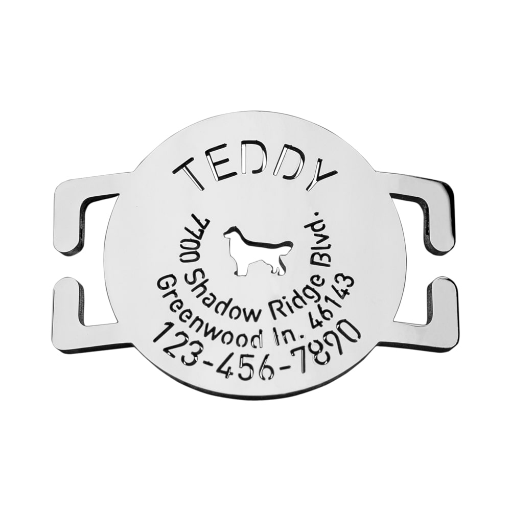 Slide-On-Round-Pet-ID-Tag-on-the-collar