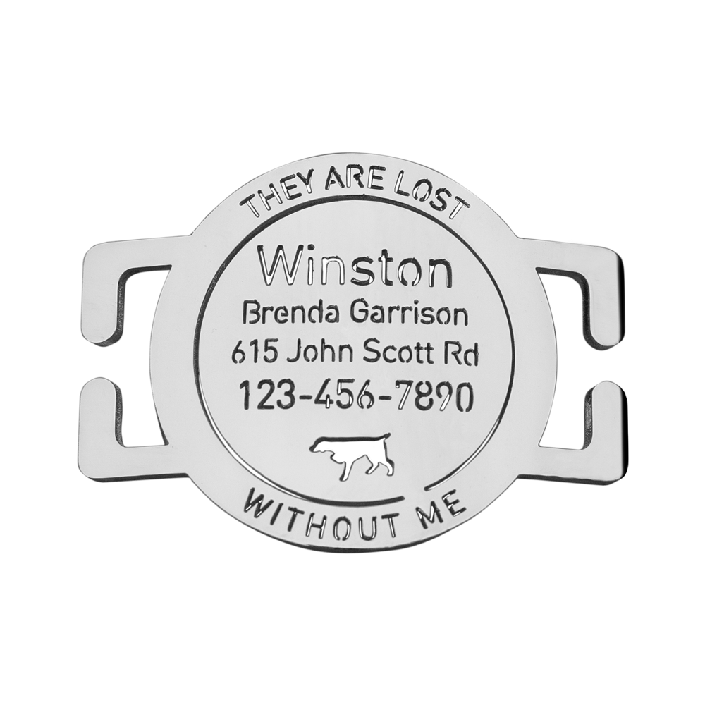 custom laser-cut stainless steel slide-on round dog ID tag shown flat on a collar, with name engraving
