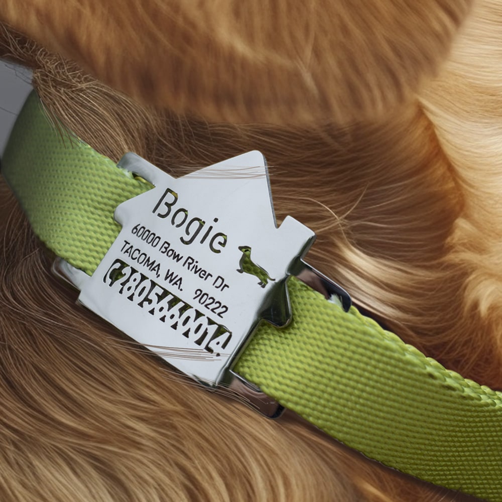 Home Slide On Dog ID Tag