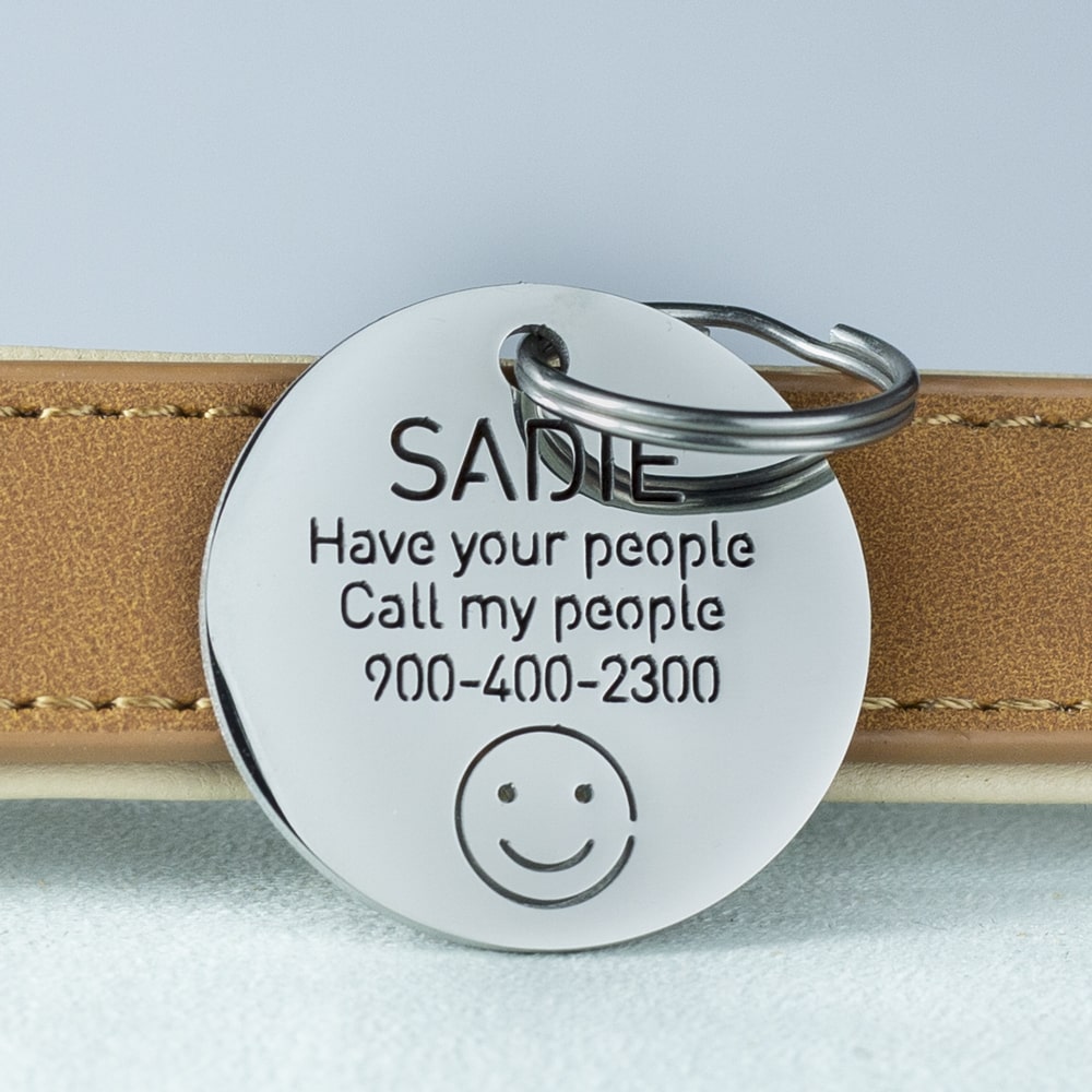 custom hollow laser-cut stainless steel smile dog ID tag with cut-through name lettering