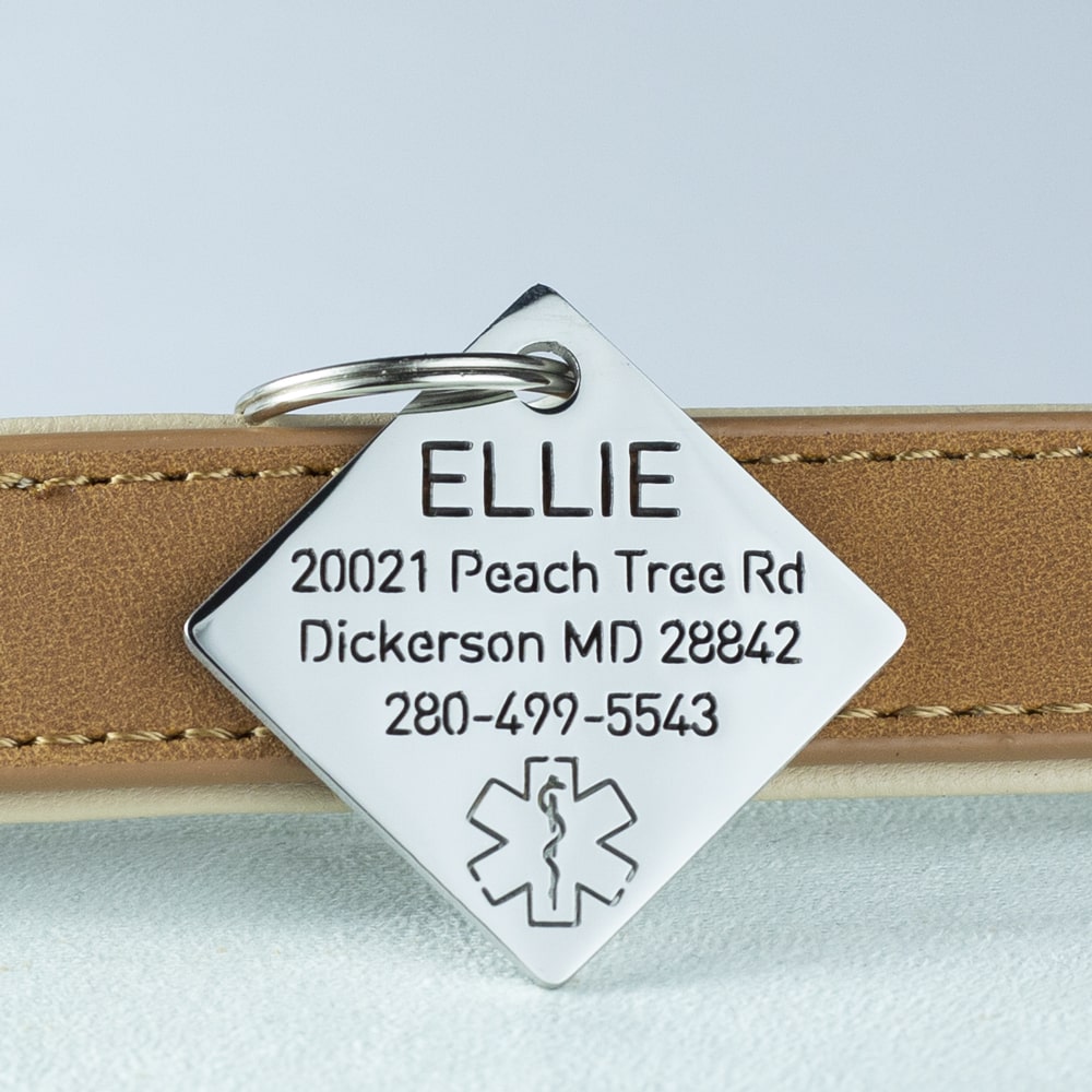 custom hollow laser-cut stainless steel square dog ID tag with cut-through name lettering