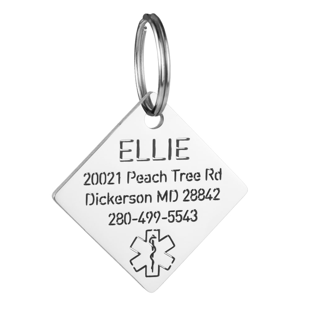 custom hollow laser-cut stainless steel square dog ID tag with cut-through name lettering