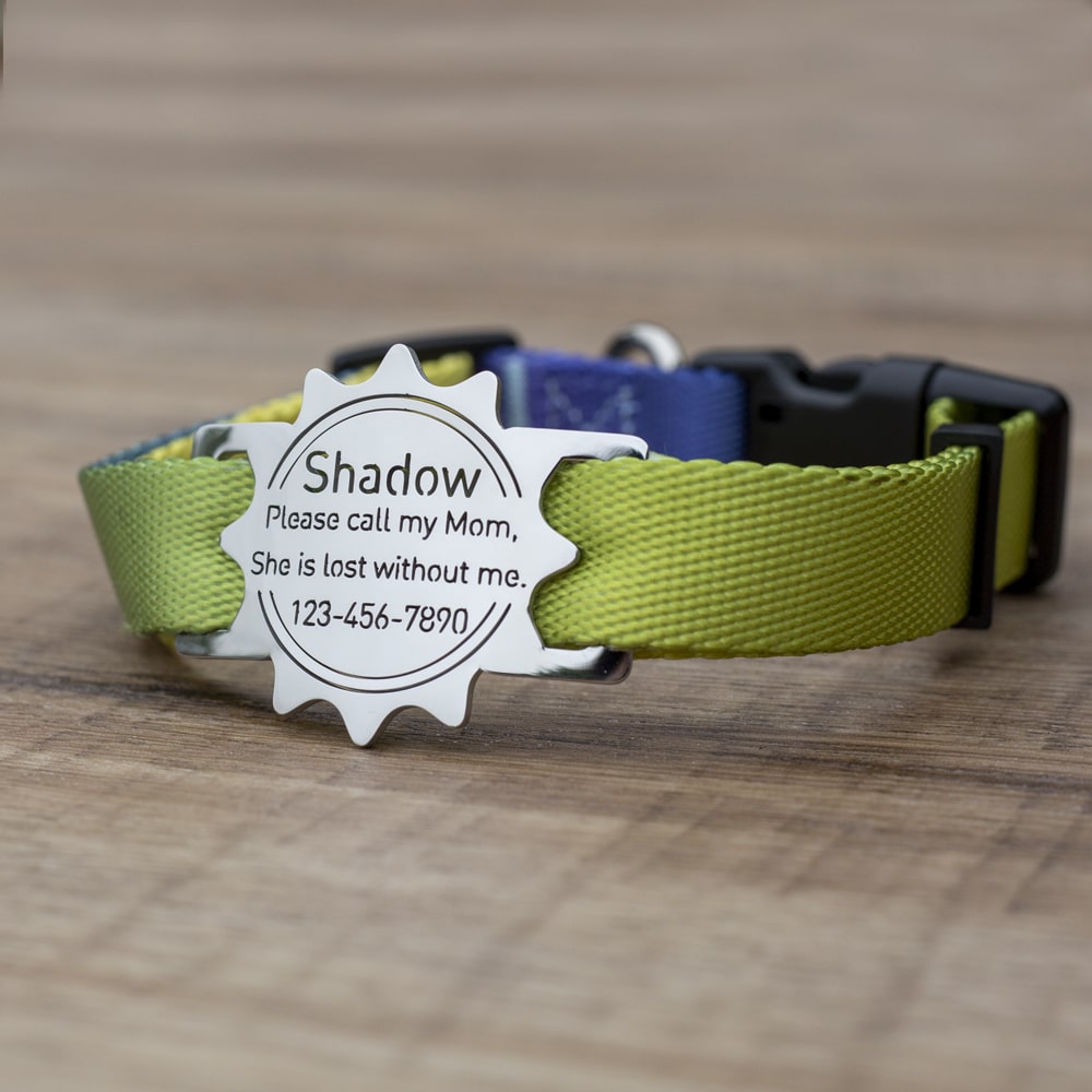 custom laser-cut stainless steel sun shaped slide-on dog ID tag shown flat on a collar, with name engraving