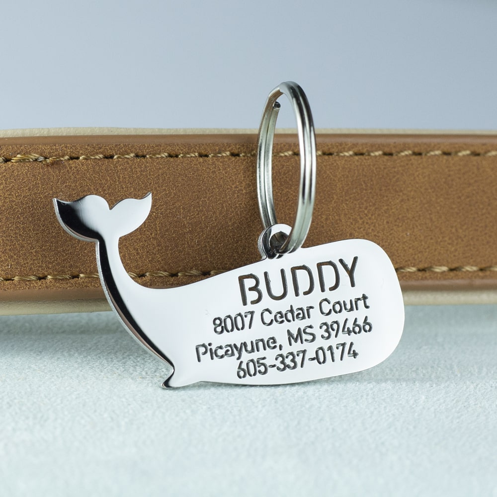 custom hollow laser-cut stainless steel whale dog ID tag with cut-through name lettering