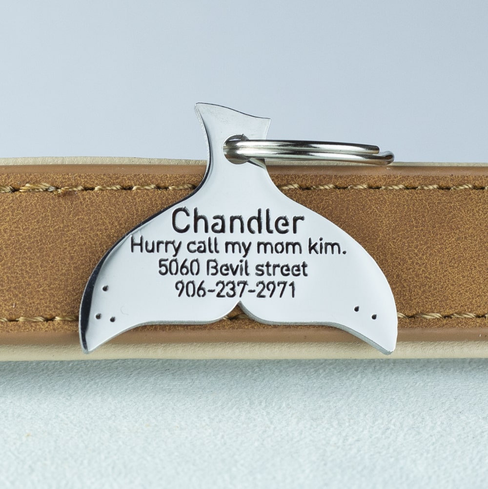 custom hollow laser-cut stainless steel whale tail dog ID tag with cut-through name lettering