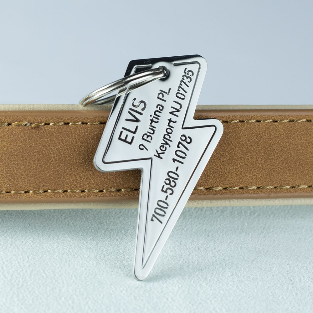 custom hollow laser-cut stainless steel lightning dog ID tag with cut-through name lettering