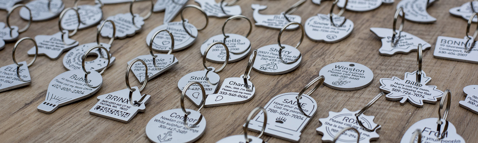 taglec-new-tags-for-all-dogs