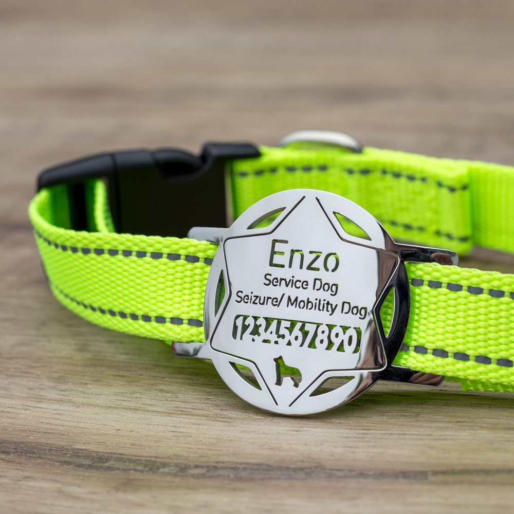 custom laser-cut stainless steel star police badge slide-on dog ID tag shown flat on a collar, with name engraving