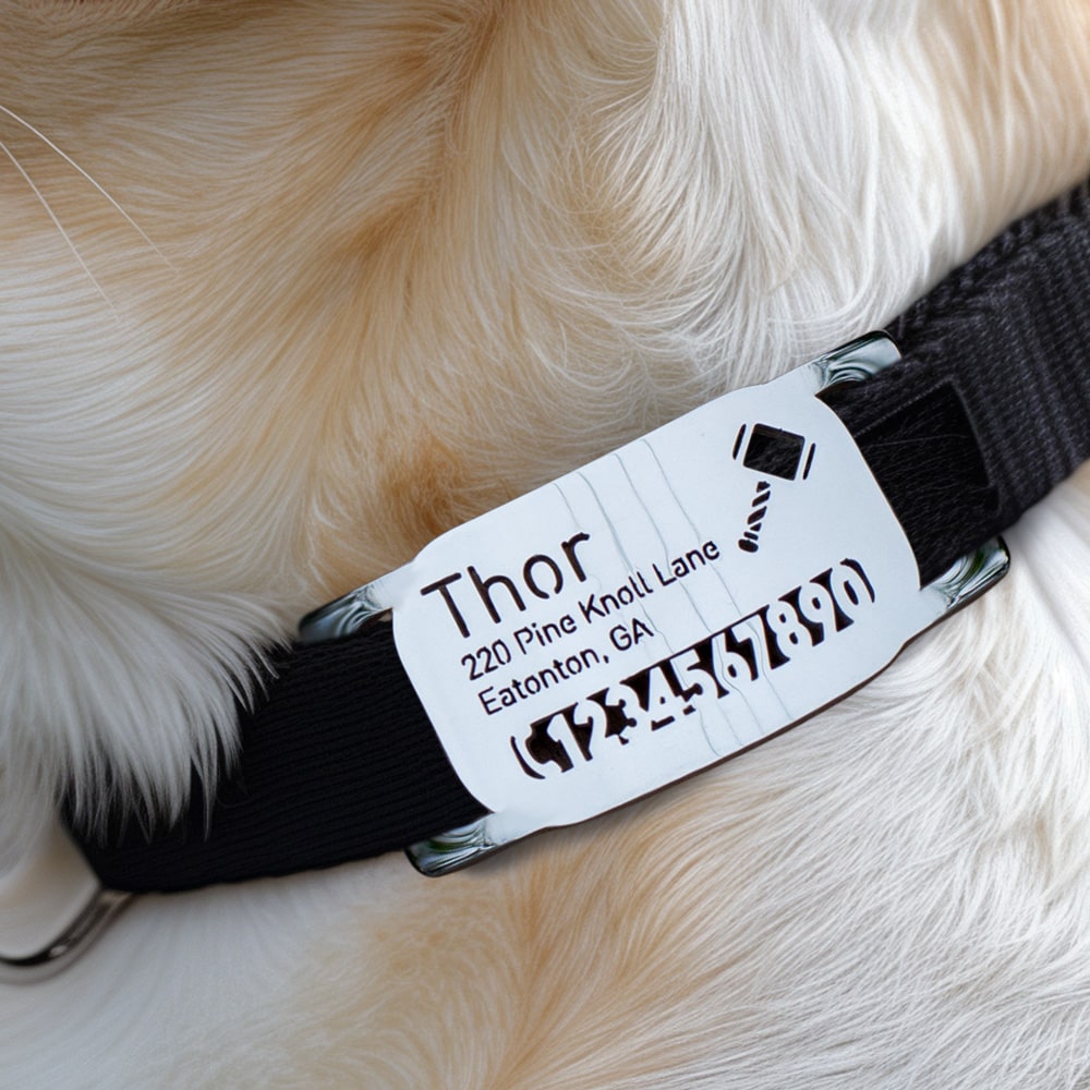 custom laser-cut stainless steel rectangle slide-on dog ID tag shown flat on a collar, with name engraving