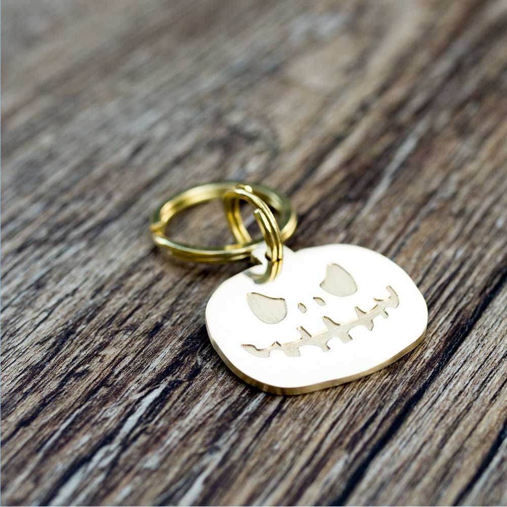 custom hollow laser-cut stainless steel pumpkin dog ID tag with cut-through name lettering