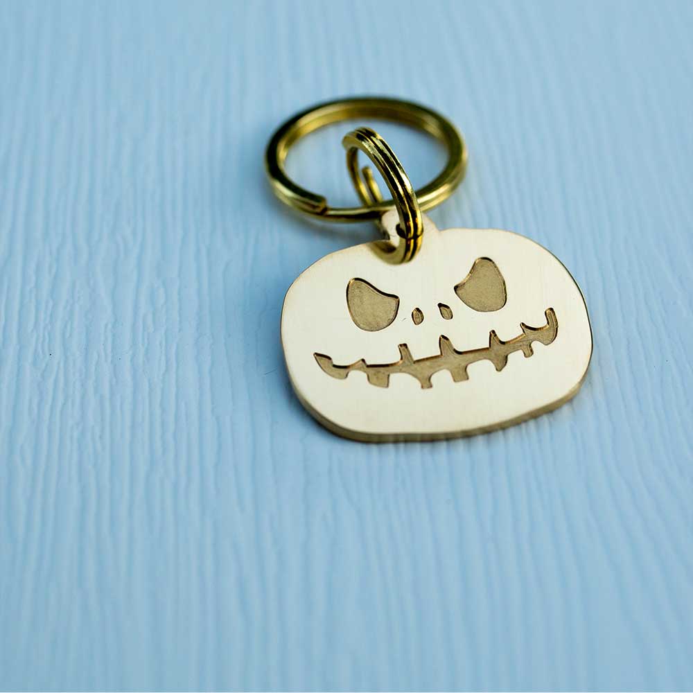 custom hollow laser-cut stainless steel pumpkin dog ID tag with cut-through name lettering