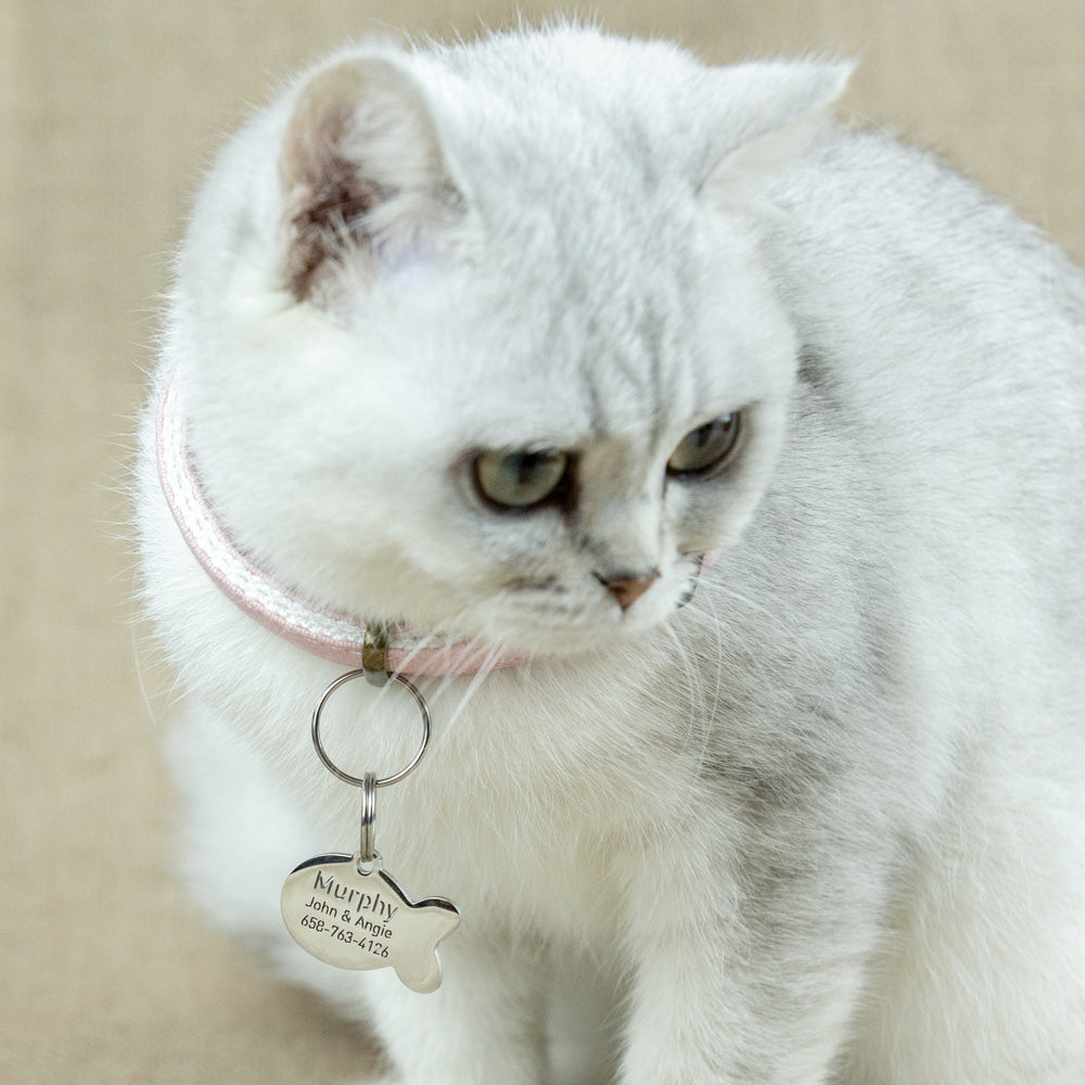custom hollow laser-cut stainless steel fish cat tag with cut-through name lettering
