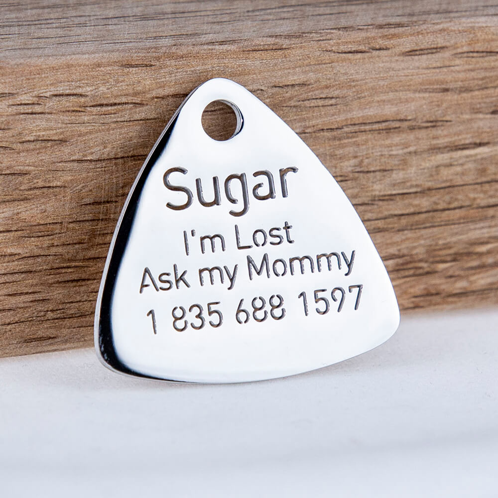 custom hollow laser-cut stainless steel triangle dog ID tag with cut-through name lettering