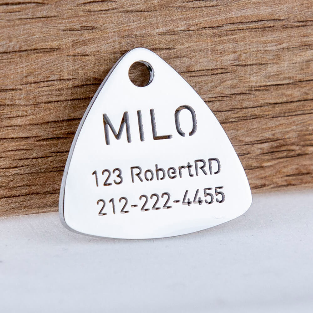 custom hollow laser-cut stainless steel triangle dog ID tag with cut-through name lettering